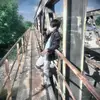 Wing Ting - @wing.ting5 - TikTok