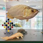 WING富山店 - @wingtoyama - Instagram