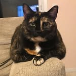 Winifred Collins Sinkus - @winnie.sinkus - Instagram