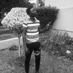 Sir Gattuso - @freemanwinifred - Instagram