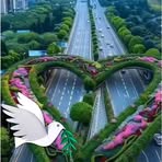 Lowe Wilfred - Facebook