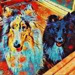 Nancy J Proctor - @winifred_and_theodore - Instagram