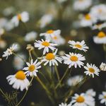sharp - @winifred_sharp05 - Instagram