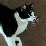 Winifred Simon - @winifredsimon - Instagram