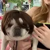 Winifred Simon - @user86367746196125 - TikTok