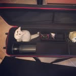 Winifred Walker - @yongwaneema - Instagram