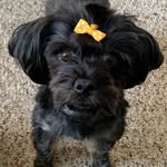 Winnie Bates - @bateswinnie8 - Instagram