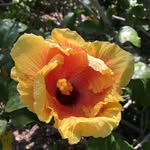 Winnie Benson - @whimsicalbear333 - Instagram