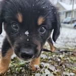 Winnie Pooh Benson - @winnielaflouffe - Instagram