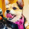 Winnie_bennie_boone - @winnie_bennie_boone - TikTok