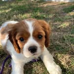 Miss Winnie Cameron - @miss_winnie_cameron - Instagram