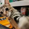 Winnie Chao - @winnie.chao6 - TikTok