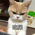 Winnie Chao - @winnie_chao6 - Instagram