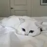 Winnie David - @winnie.david - TikTok