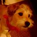 Winnie Decker - Facebook