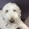 winniedillon - @winnieiscute24 - TikTok