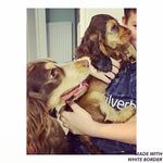 Ronnie & Winnie Evans Westwood - @when_ronnie_met_winnie - Instagram