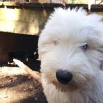 Winnie Evans - @wiggilingwinnie - Instagram