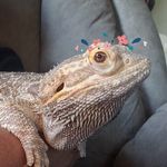 Winnie Evans - @wsevans - Instagram