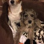 Winnie N Diane Evans - @winniendiane - Instagram
