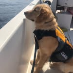 Winnie  Flanagan - @one_eyed_winnie_ - Instagram