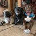 Winnie Flanagan - Facebook