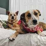 Winnie & Hallie - @winnie.hallie - Instagram