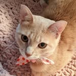 Winnie (+ Trucy) ! - @happyhallowinnie - Instagram