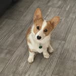 Winnie_Hall - @nittayahall - Instagram