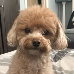 Winnie Hall - @winnie_hall_2020 - Instagram