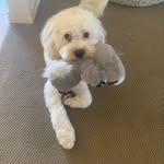 Winnie Hall - @winniesmum22 - Instagram