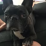 Winnie Hall - @winniehallthefrenchlady - Instagram