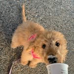 Winnie - @winnie_hallman - Instagram