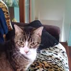 Winnie Henson - Facebook