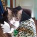 Winnie Henson - Facebook