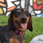 Winifred (Winnie) Howard - @winnie_so_mini - Instagram