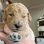 Winnie Howard - @life_of_winnieee - Instagram