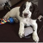 Winnie - @winniehoward17 - Instagram