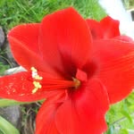 Winnifred Howell - @winnifredhowell3 - Instagram