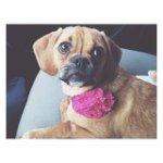 winnie jones - @puggly_slut - Instagram