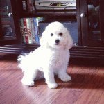 Winnie Jones - @itswinniej_2131 - Instagram