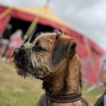 Winnie Jones 🐾 - @wheres_winnie_jones - Instagram
