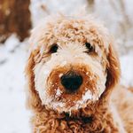 Winnie Jones Goes... - @winnie.jones.goes - Instagram