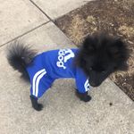Winston “Mr. Winnie” Jones - @winstoncharlesspencerchurchill - Instagram