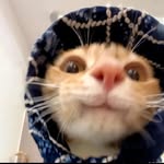 WiNNiE - @_winniejong08_ - Instagram