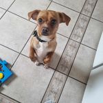 Winnie Kelly-Murtagh - @winniethebitch2024 - Instagram