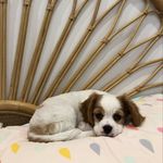 Winnie - @winnie_kelly_ - Instagram