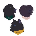 Willis, Winnie & King ❤ 🇨🇦 - @the._.royle._.family - Instagram