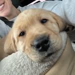 Winston (Winnie) King - @winstonking_thelab - Instagram