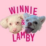 Winnie & Lamby - @winnieandlamby - Instagram